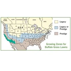 Legacy® Buffalo Grass Plugs -Perennial Zone buffalo grass map usa